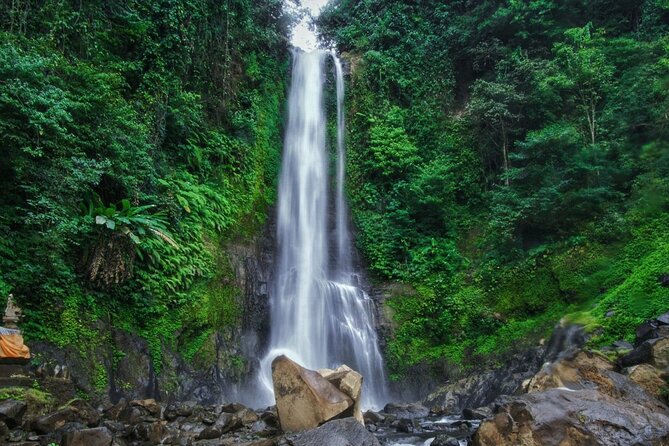 Dolphin Tour and Sunrise Watching in Lovina Beach - All Inclusive - Wanagiri Hidden Hills swing over Lake Buyan (the photo stop)