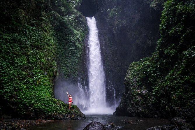 Dolphin Tour and Sunrise Watching in Lovina Beach - All Inclusive - Upgrades: waterfall and temple stops when you want more than dolphins