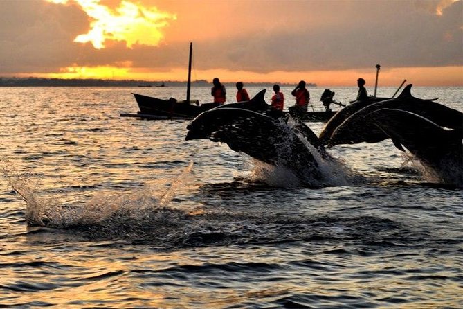 Dolphin Tour and Sunrise Watching in Lovina Beach - All Inclusive - The pre-dawn pickup timing you have to plan around