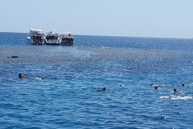 Dolphin Tour Banana Boat from Soma /Sahl Hasheesh/makadi/Safaga - Equipment, comfort, and the safety culture you want on the water