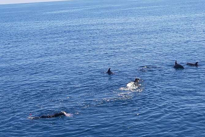 Dolphin tour & banana boat fun with snorkeling from Hurghada - Key things I’d plan around