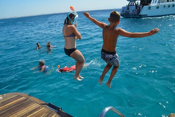 Dolphin Tour in Hurghada - Pickup timing and getting to the marina without taxi stress