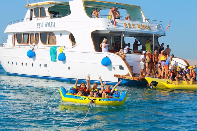 Dolphin Tour in Hurghada - Dolphins in the wild: how to manage expectations (and still enjoy it)