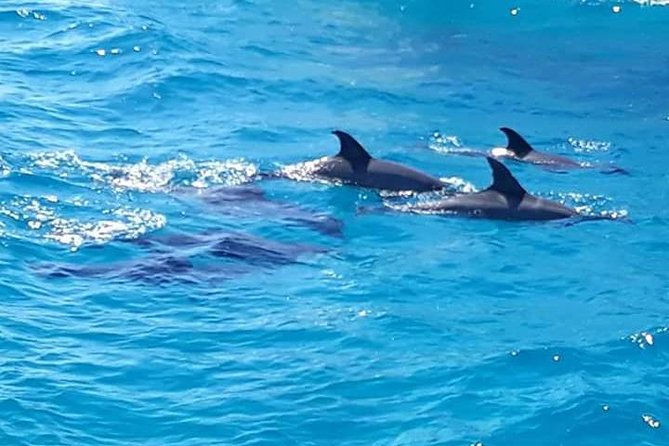 Dolphin Tour in Hurghada - Water sports at the end: sofa and banana, plus common gotchas
