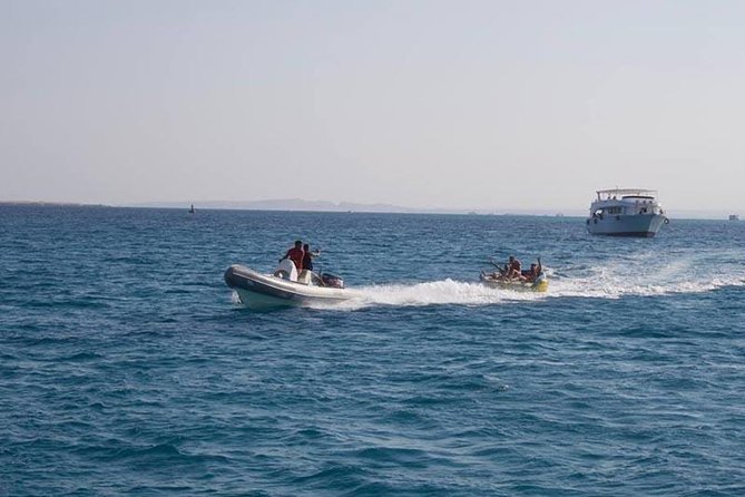 Dolphin Tour in Hurghada - Price and value: why $23.26 can be a good deal, and what adds cost