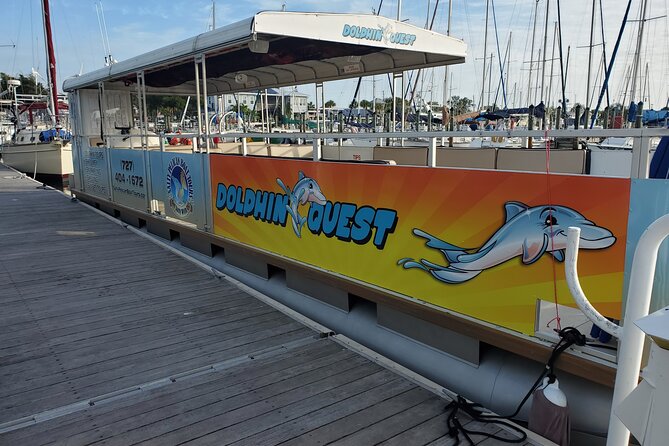 Dolphin Tour in St. Pete Beach - The Guide Style: Learning the Ecosystem Without Lectures