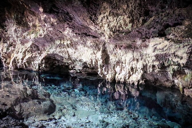 Dolphin tour, Jozani Forest, Jambiani Kuza Cave, Paje Beach &The Rock restaurent - Paje Beach: clear water, quiet sand, and an honest sunset