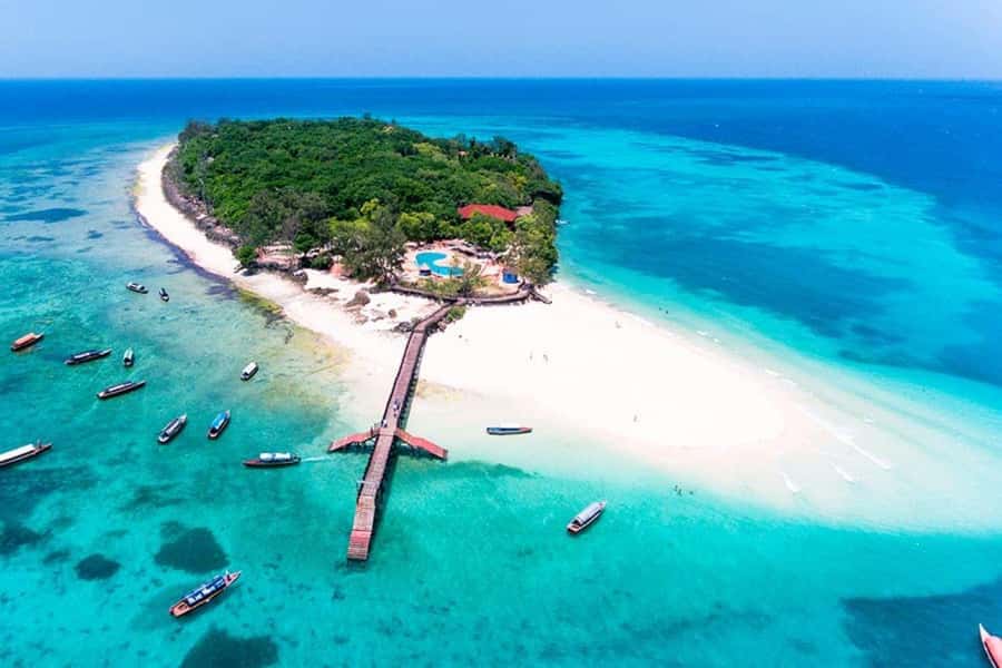 Dolphin Tour, Jozani Forest, Prison Island, Island Pongwe - Price and value: is $150 per person fair for a full private wildlife day?