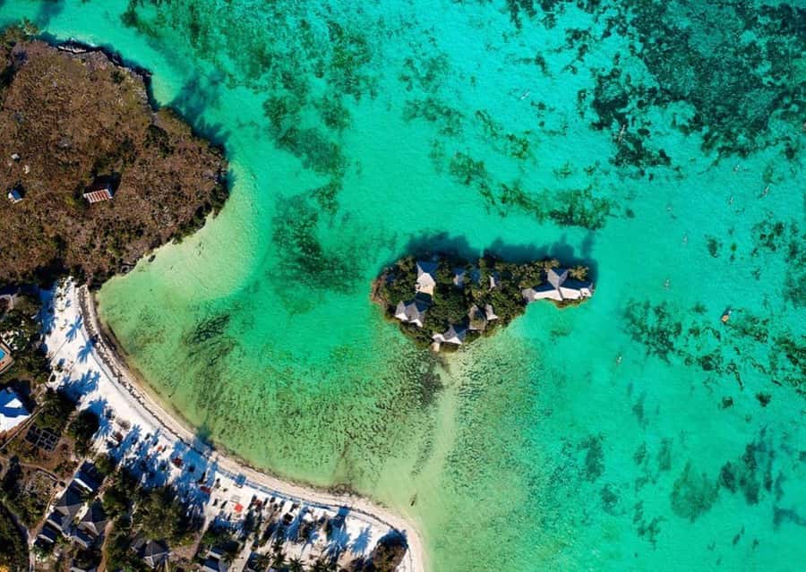 Dolphin Tour, Jozani Forest, Prison Island, Island Pongwe - What to pack and how to avoid annoying day-of problems