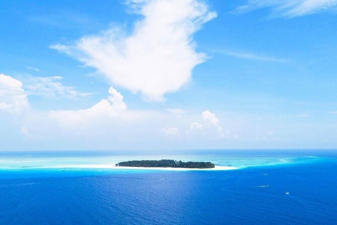 Dolphin Tour, Jozani Forest Tour, Kuza Cave Tour, Paje Beach,The Rock Restaurant - A smart “big hits” Zanzibar day—if you like motion