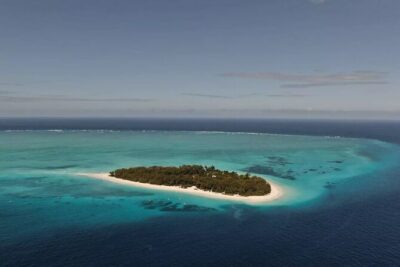 Dolphin Tour, Jozani Forest Tour, Kuza Cave Tour, Paje Beach,The Rock Restaurant - Stop 2: Jozani Chwaka Bay National Park and the red colobus experience