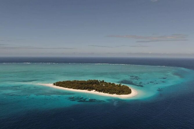Dolphin Tour, Jozani Forest Tour, Kuza Cave Tour, Paje Beach,The Rock Restaurant - Stop 2: Jozani Chwaka Bay National Park and the red colobus experience
