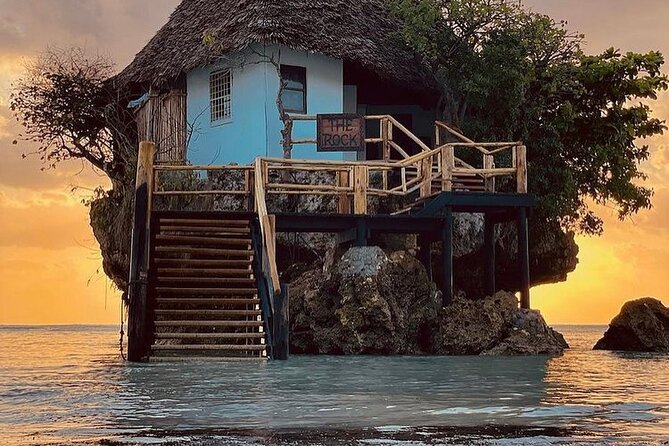 Dolphin Tour; Kuza Cave Tour; Paje Beach; The Rock Restaurant; Jozani Forest - Pickup, timing, and how the 9-hour day usually feels