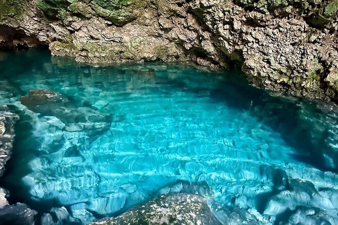 Dolphin Tour; Kuza Cave Tour; Paje Beach; The Rock Restaurant; Jozani Forest - Kuza Cave: mineral pools, monkeys, and Swahili culture