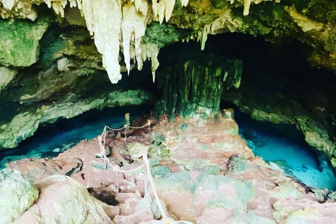 Dolphin Tour; Kuza Cave Tour; Paje Beach; The Rock Restaurant; Jozani Forest - Paje Beach: white sand, calm water, and sunset time