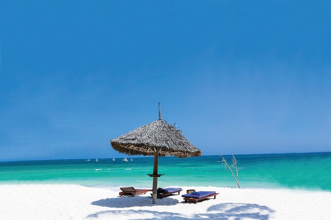 Dolphin Tour; Kuza Cave Tour; Paje Beach; The Rock Restaurant; Jozani Forest - The Rock Restaurant stop: what you pay for and what you choose