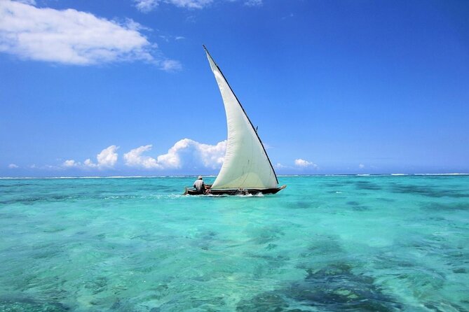 Dolphin Tour & Snorkeling at Mnemba Island - Who this tour suits best (and who should think twice)