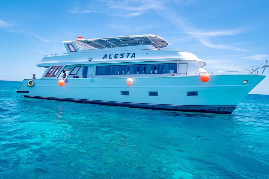 Dolphin Tour with Red Sea Fun. The Best in Hurghada - Finding Dolphins in Their Home Turf (and Why Activity Varies)