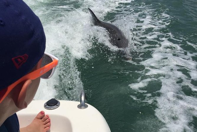 Dolphin Tours - Fort Myers Beach / Naples - Captain Mike: how the trip keeps dolphins close