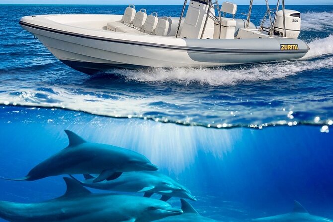 Dolphin Tours in Fuerteventura and snorkeling on the coast - The Tríp boat run: a focused 2.5-hour marine outing