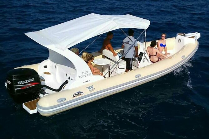 Dolphin trip with private speedboat and snorkeling - Price and What You Might Still Need to Pay