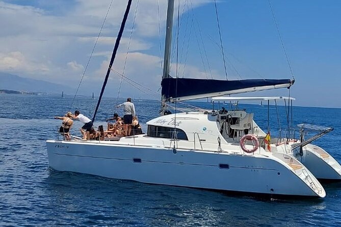 Dolphin trips on a catamaran - Key things I’d plan around