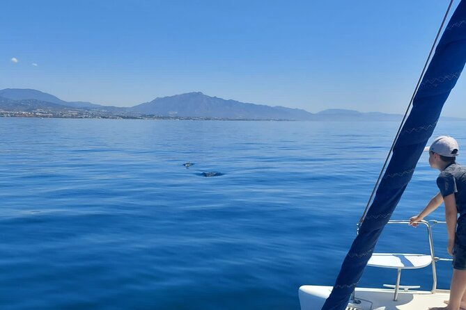 Dolphin trips on a catamaran - The Lagoon Catamaran 380: Clean, Comfortable, and Not Crowded