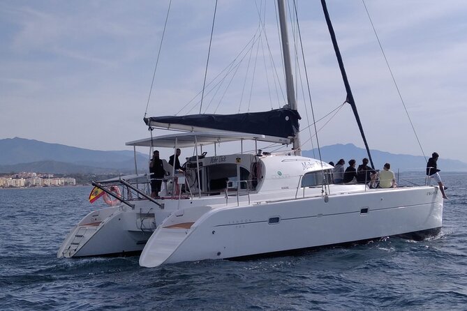 Dolphin trips on a catamaran - Price and Value: Is $42.33 for Two Hours Worth It?
