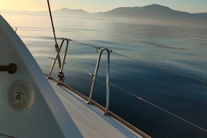 Dolphin trips on a catamaran - Dolphin Watching Is the Whole Point. And That’s a Good Thing.