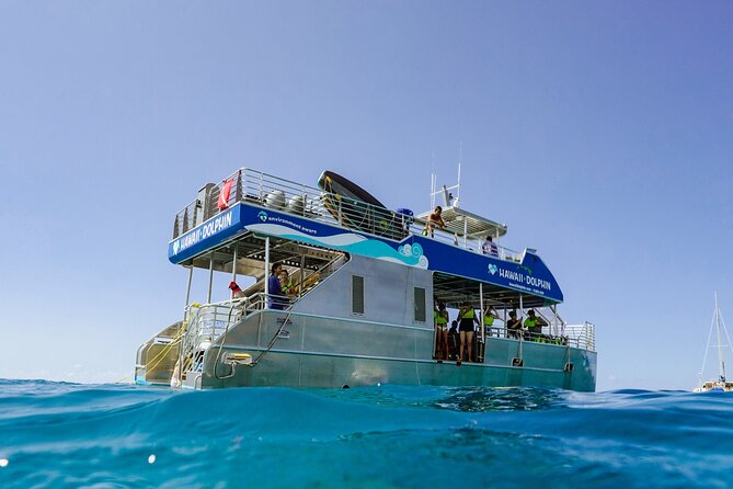 Dolphin Watch Cruise with Waterslide & Snorkeling on Oahu - Key highlights to plan around