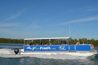 Dolphin Watch/Eco Cruise - On Board With the Right Comfort: Water, Restroom, and Flow