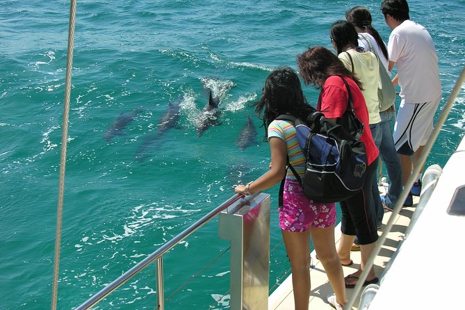 Dolphin Watch + Sailing - Port Stephens - Key Highlights You’ll Care About