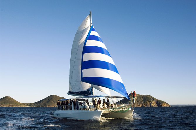 Dolphin Watch + Sailing - Port Stephens - First Glance: What This Tour Feels Like