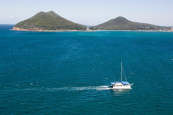 Dolphin Watch + Sailing - Port Stephens - Coffee, Tea, and the Art of Not Rushing
