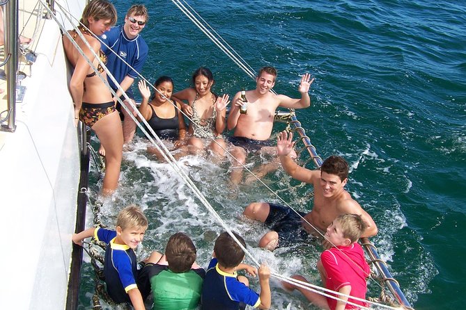 Dolphin Watch + Sailing - Port Stephens - If the Sails Go Up: When Conditions Let You