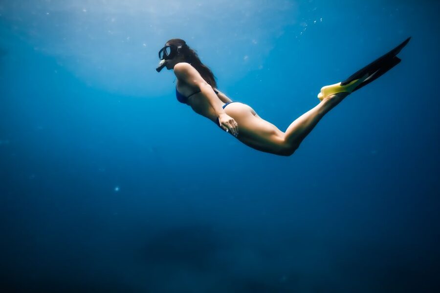 Dolphin Watch Snorkel and BBQ in Kona, Big Island - Price and value: is $150 for 3 hours fair?