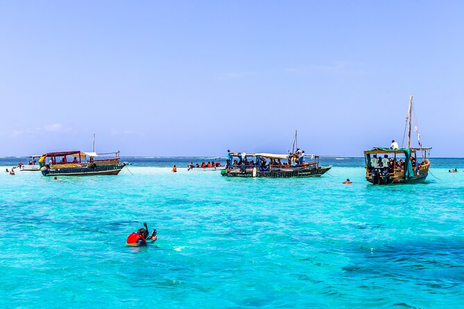 Dolphin Watch & Snorkeling at Kisite Marine Park & Wasini Island - Key Things I’d Focus On Before You Go