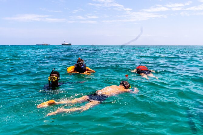 Dolphin Watch & Snorkeling at Kisite Marine Park & Wasini Island - Pickup, Group Size, and the Reality of the 9-Hour Schedule