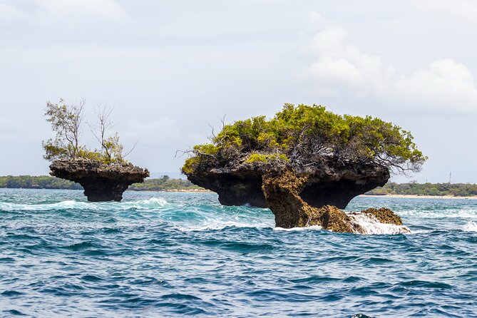 Dolphin Watch & Snorkeling at Kisite Marine Park & Wasini Island - Snorkeling Time: Make the Most of the Short Window