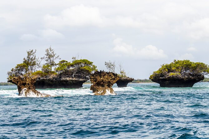 Dolphin Watch & Snorkeling at Kisite Marine Park & Wasini Island - Stop 4: Shimoni Slave Caves (Optional History When You Want It)