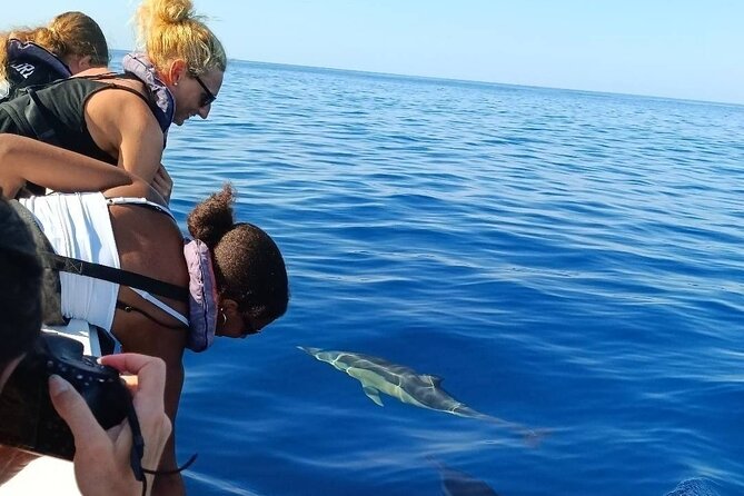 Dolphin Watching + 2 Islands Tour - From Faro - What You’ll See: Dolphins, Turtles, Birds, and the Odds