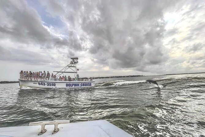 Dolphin Watching aboard the Cold Mil Fleet - Double Surf on the water: what the cruise is really like