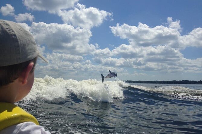 Dolphin Watching aboard the Cold Mil Fleet - The 60–90 minute dolphin hunt: how the viewing works