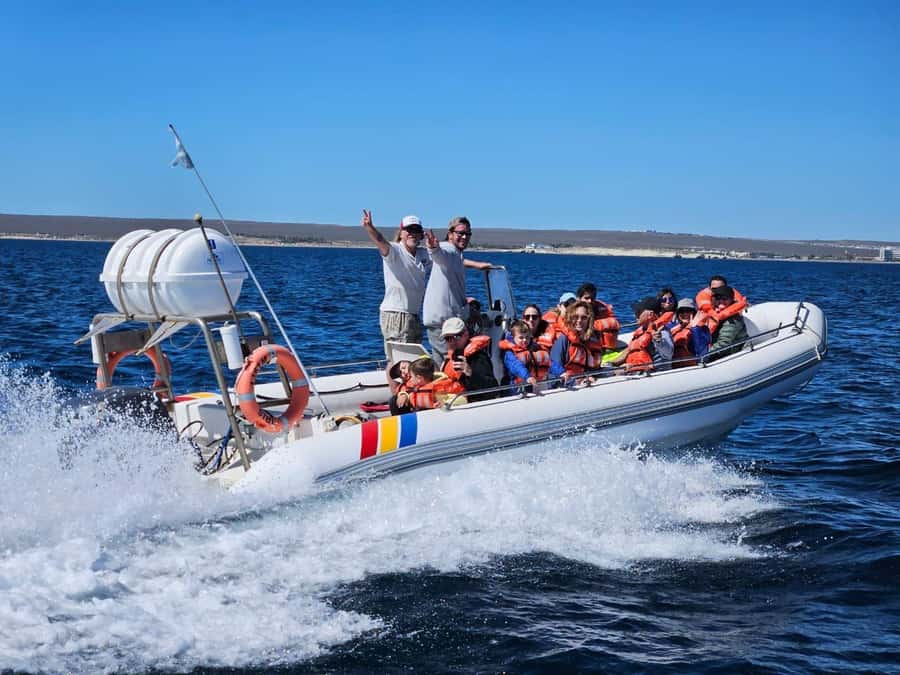 Dolphin Watching Adventure - Why Golfo Nuevo and Dusky Dolphins are a great match