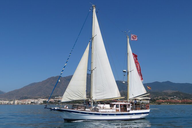 Dolphin Watching Adventure in Estepona Bay - The 1 hour 45 minutes that actually feels like a trip