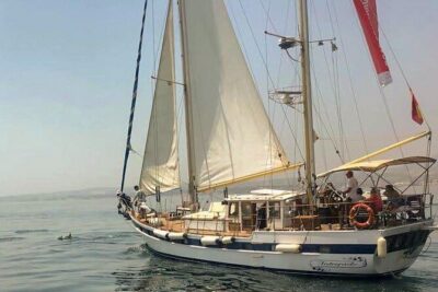 Dolphin Watching Adventure in Estepona Bay - How dolphin-spotting works when you’re not chasing the pod