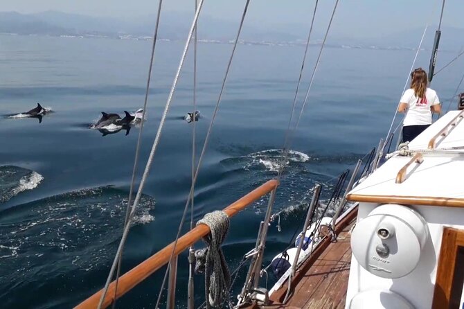 Dolphin Watching Adventure in Estepona Bay - Onboard comfort and drinks: what you can count on