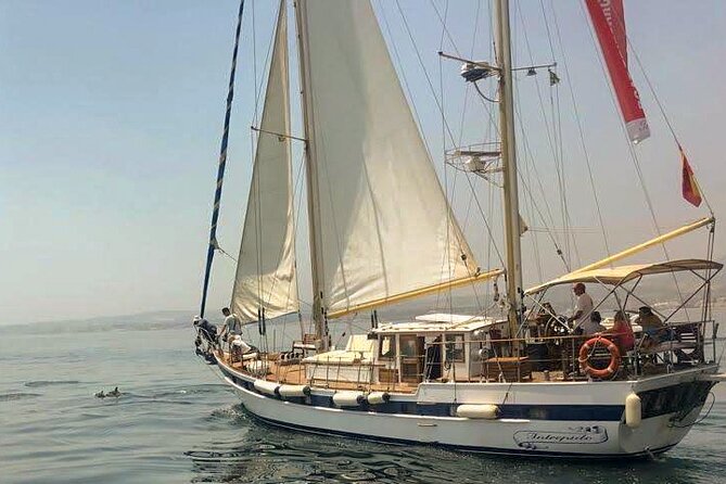 Dolphin Watching Adventure in Estepona Bay - How dolphin-spotting works when you’re not chasing the pod