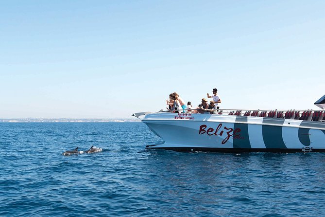 Dolphin Watching and Cave Boat Cruise from Albufeira - Key highlights to know before you go