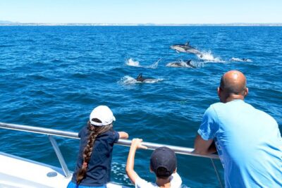 Dolphin Watching and Cave Boat Cruise from Albufeira - Dolphin watching along the Algarve: your chances and how to spot a pod faster